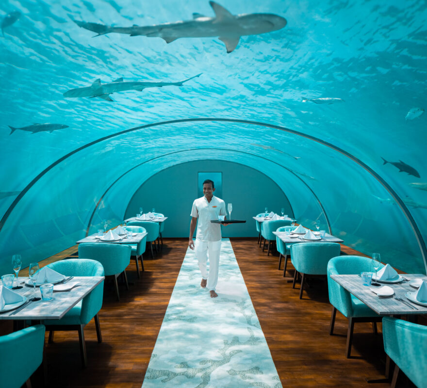 Conrad Maldives Rangali Island Ithaa Undersea Restaurant dining with aqua life