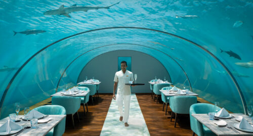 Conrad Maldives Rangali Island Ithaa Undersea Restaurant dining with sharks